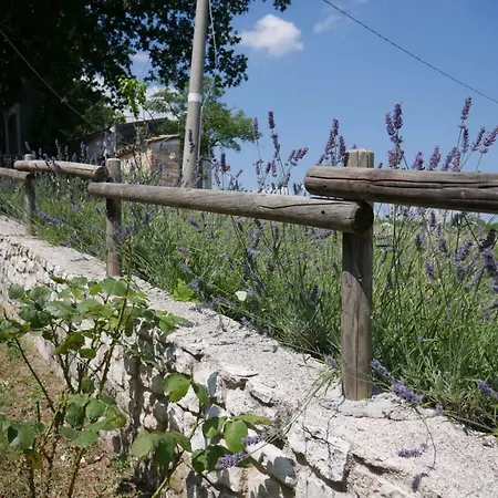 Casa Gola Della Rossa *