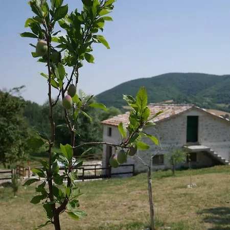 Casa Gola Della Rossa Appartamento *