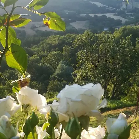 Casa Gola Della Rossa *