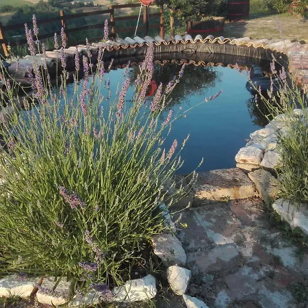 Casa Gola Della Rossa Appartamento